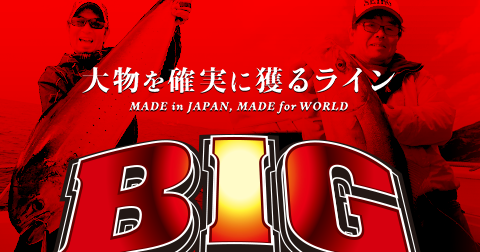 BIGラインシリーズ