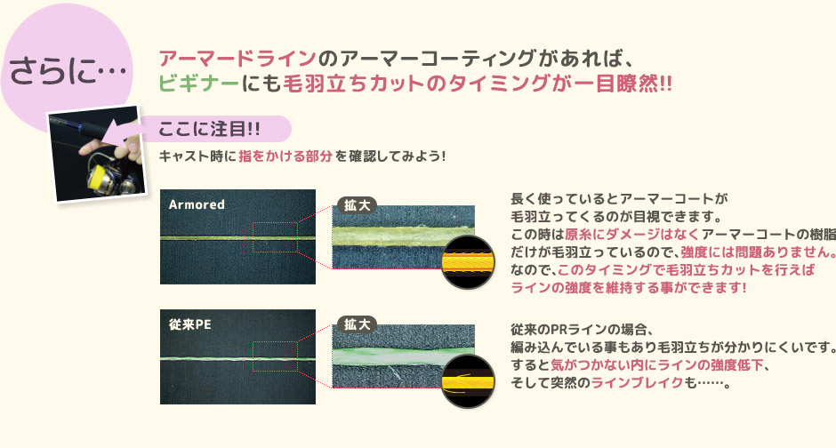 さらに・・・