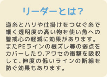 リーダーとは、道糸とハリや仕掛けをつなぐ糸のこと